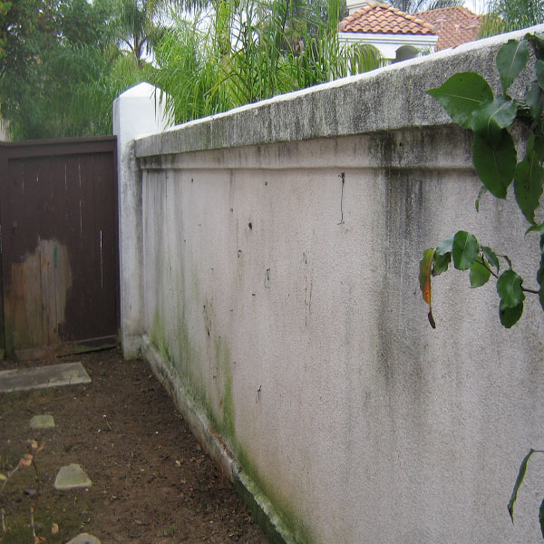 Fence Wash-Fence Pressure Washing